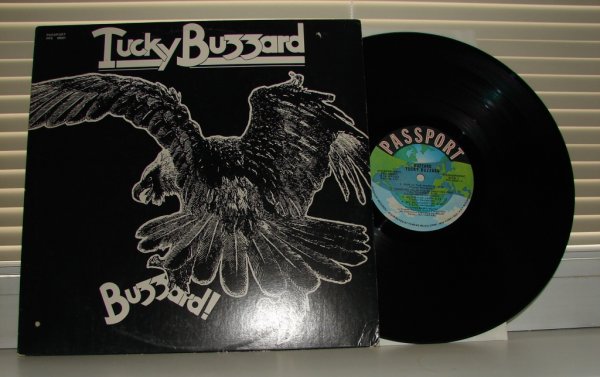 TUCKY BUZZARD