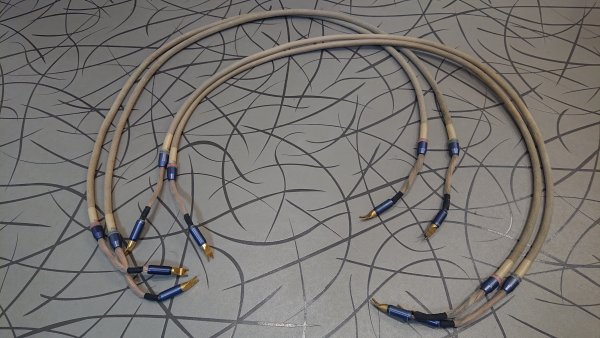 Tara labs Decade    1,85