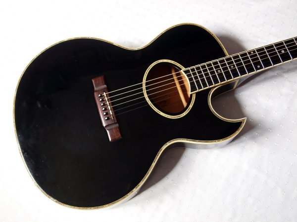   Washburn Festival EA-40 Black (Japan)