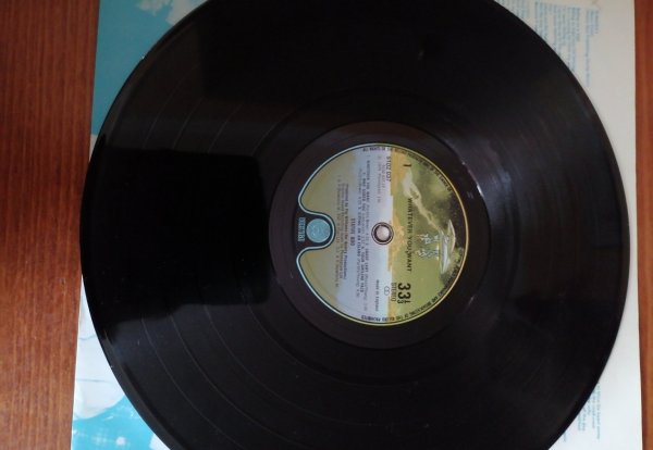 Status Quo-Whatever You Want Lp Holland NM/NM Status Quo-Whatever You Want Lp Holland NM/NM