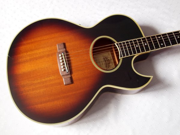  Washburn Festival EA-20 Tobacco Sunburst (Japan)