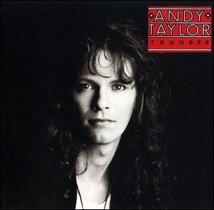 CDr: ANDY TAYLOR - Thunder   https://magaz-cd.ru/