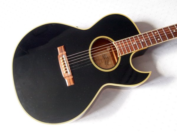   Washburn Festival EA-20 Black