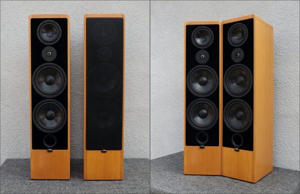 СANTON Ergo 91 DC. Напольная акустика. HI-END СANTON Ergo 91 DC. Напольная акустика. HI-END