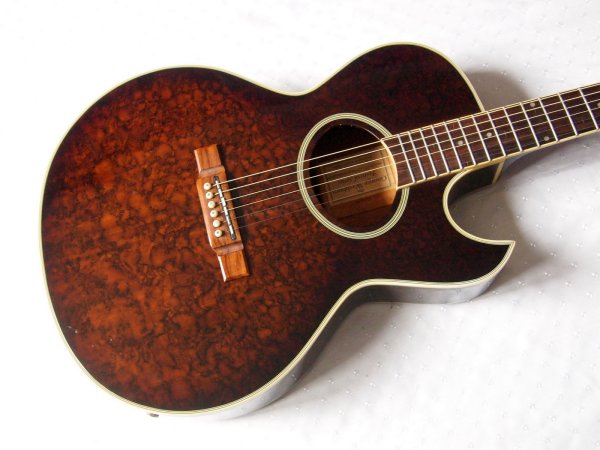  Washburn EA-20YBR Newport (Festival)
