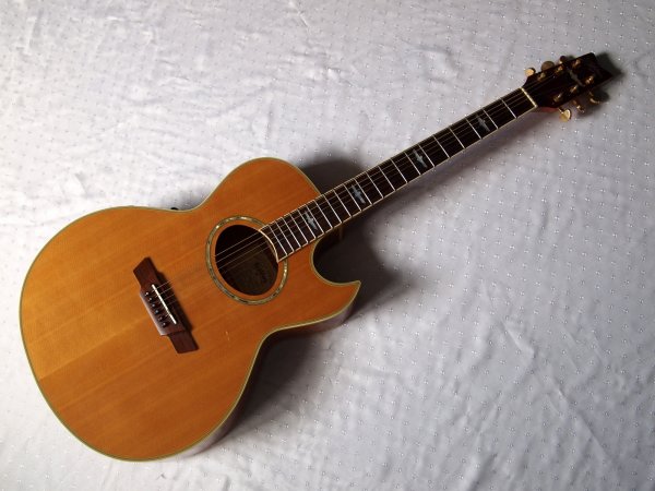 ��������� Washburn Festival EA-26 �Craig Chaqui�o signature�