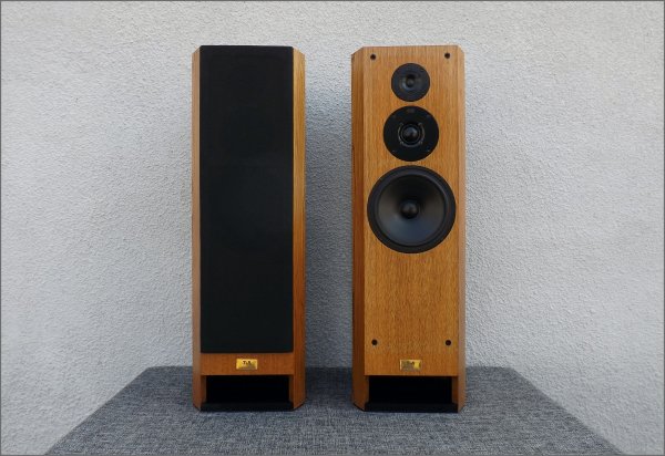 T+A Criterion TMR 80. ��������� ��������. HI-END