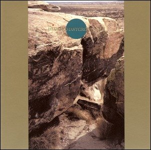 CDr: RUINS - Hyderomastgroningem �� ����� https://jrcd.ru/