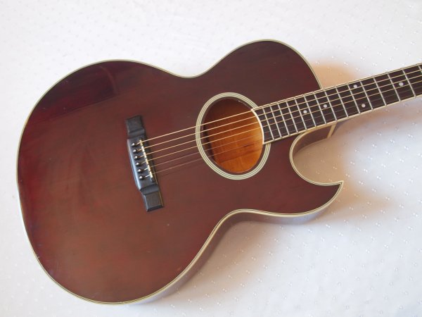 ��������� ������������ ������ Washburn Monterey (������)