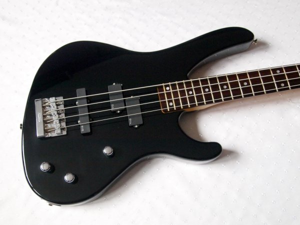 ��������� ��� Washburn �Pat Bardger� Model PB-1250