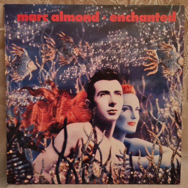 ����� �������, �����