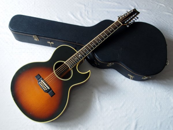 ��������� ������ 12-������� Washburn Monterey Japan