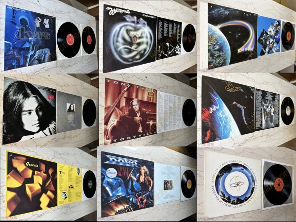 TONY CAREY VAN DER GRAAF GENERATOR GENESIS BARCLAY DOORS RAINBOW WHITESNAKE