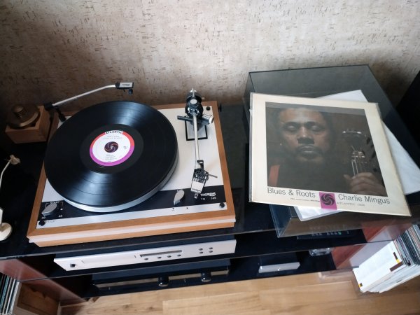 JAZZ + BLUES + JAZZ ROCK + ETHNO JAZZ + AMBIENT