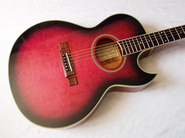 ��������� �������� Washburn Festival EA-20 � ��������� �����