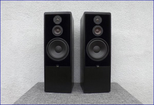 Canton CT 90. Напольная акустика класса HI-END Canton CT 90. Напольная акустика класса HI-END