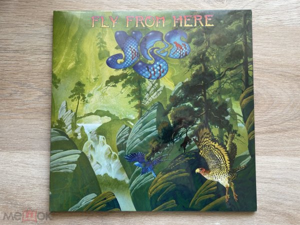 Yes & Steve Hackett & Genesis & Garybaldi & Le Orme 