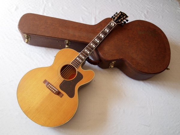 ��������� ��������������� Gibson Blues King EC-30