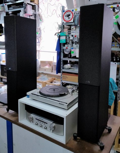 ��������� �������� Polk Audio Reserve R500 Black. �������� �� ��