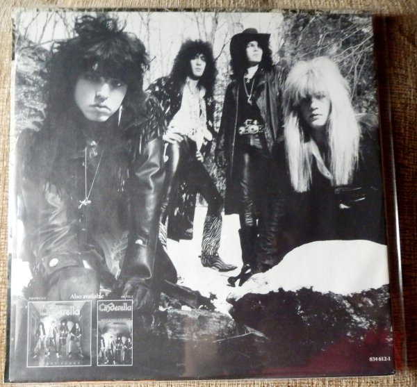 Cinderella - Long Cold Winter �1988 Netherlands, Mercury ‎� 834 612-1 / NM