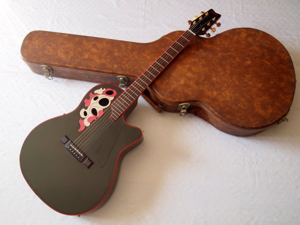 ��������� ������������ ������ Washburn Sundance 1986 !