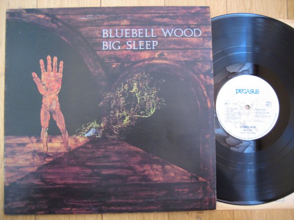 RARE: BIG SLEEP - BLUEBELL WOOD UK ORIG LP NM/NM