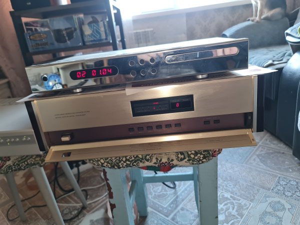 Accuphase DC-81L   �����-���������� ���������������
