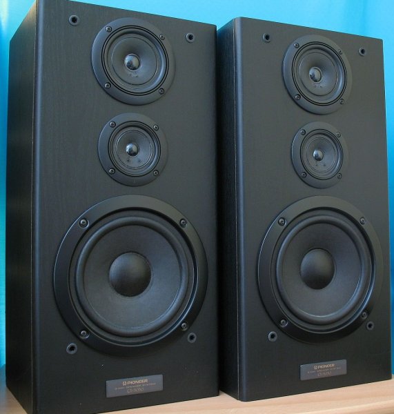 Pioneer cs 301 store speakers